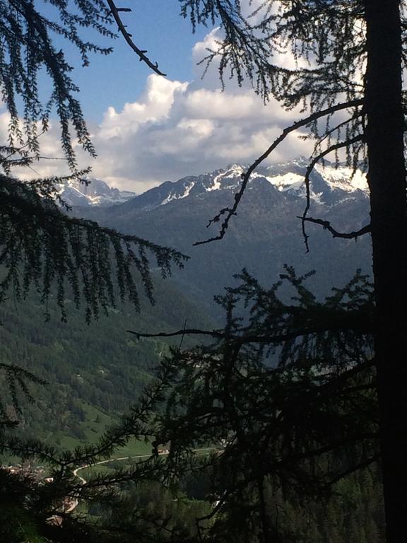 Affittacamere Lago Rotondo Mezzana  Exteriér fotografie